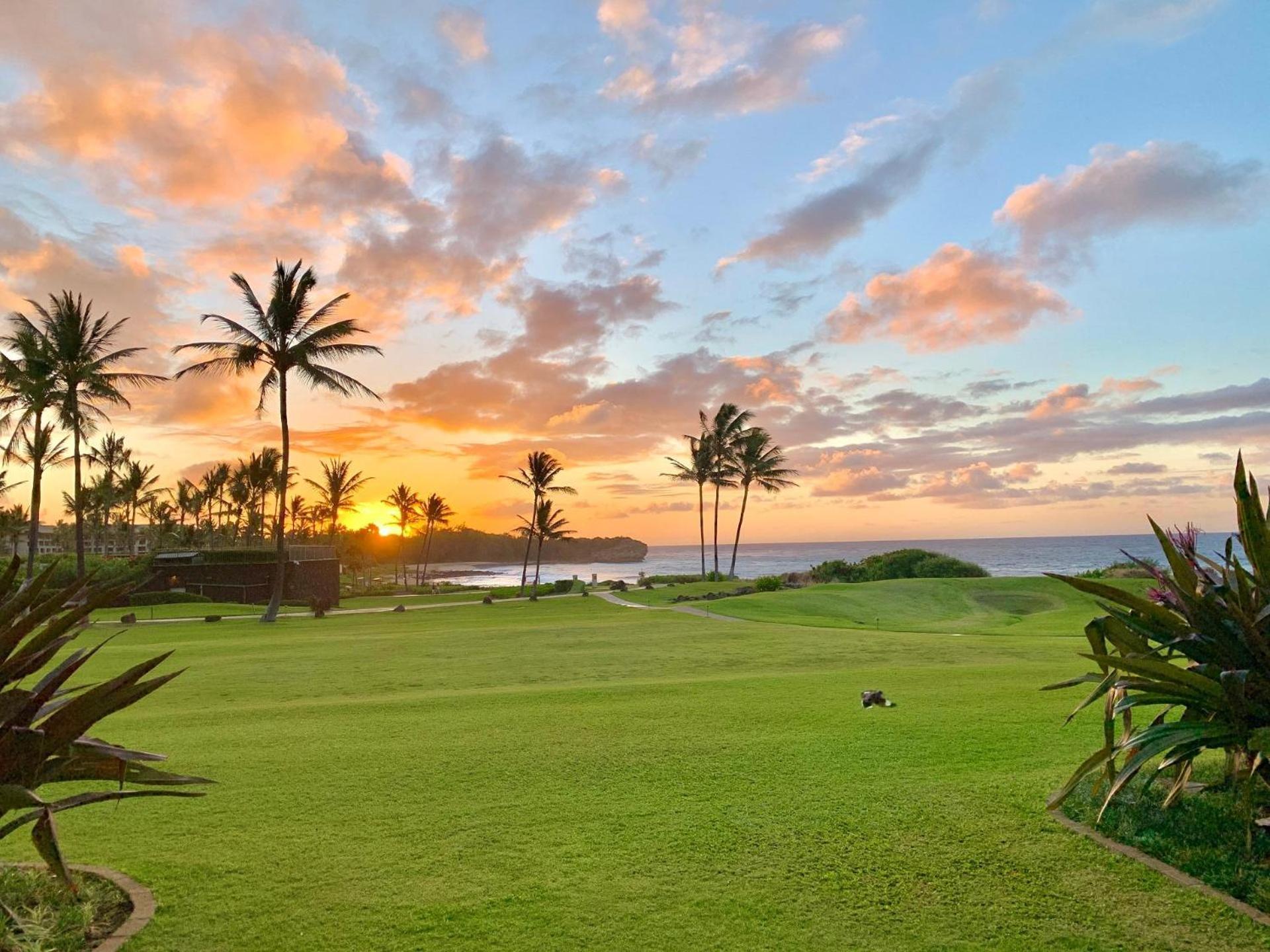 Poipu Sands 513 - Ocean Front Koloa Exteriér fotografie